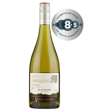 Ventisquero Reserva Chardonnay